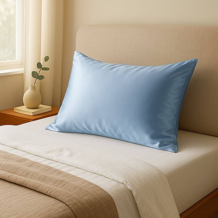 Royal Comfort Pure Silk Pillowcase 100% Mulberry Hypoallergenic Soft Blue Standard