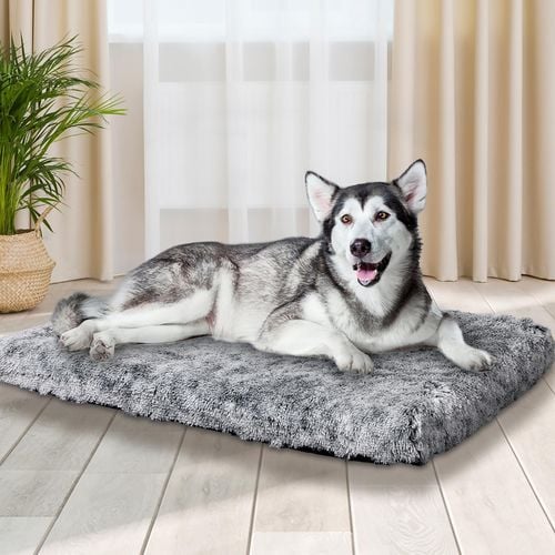 PaWz Dog Mat Pet Calming Bed Memory Foam XXL Bunnings Australia