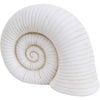 LVD Cement Shell Ornament Home Decor 23.5x17.5cm - White
