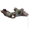 Jumbo Hollow Branch - Pet One