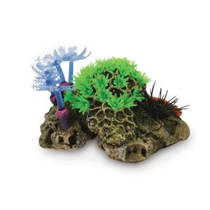 Kazoo Soft Coral W/Sea Urchin (19461)