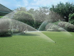 sprinklers in a garden