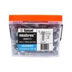 Ramset 10 x 100mm Galvanised AnkaScrew - 100 Pack