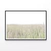 Lavender with Grass & Plants  Print 100% Australian Made 120x90cm  (Poster)
