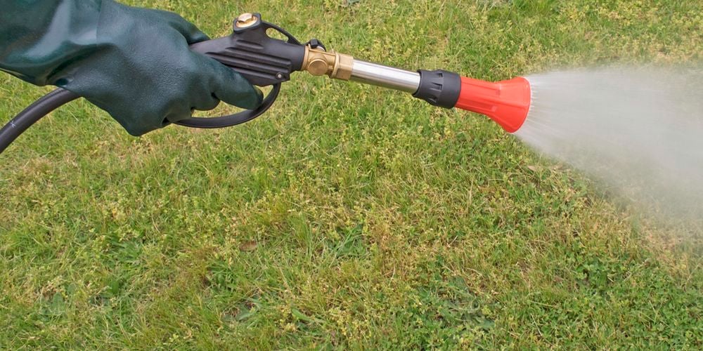 Close up of shower sprayer 