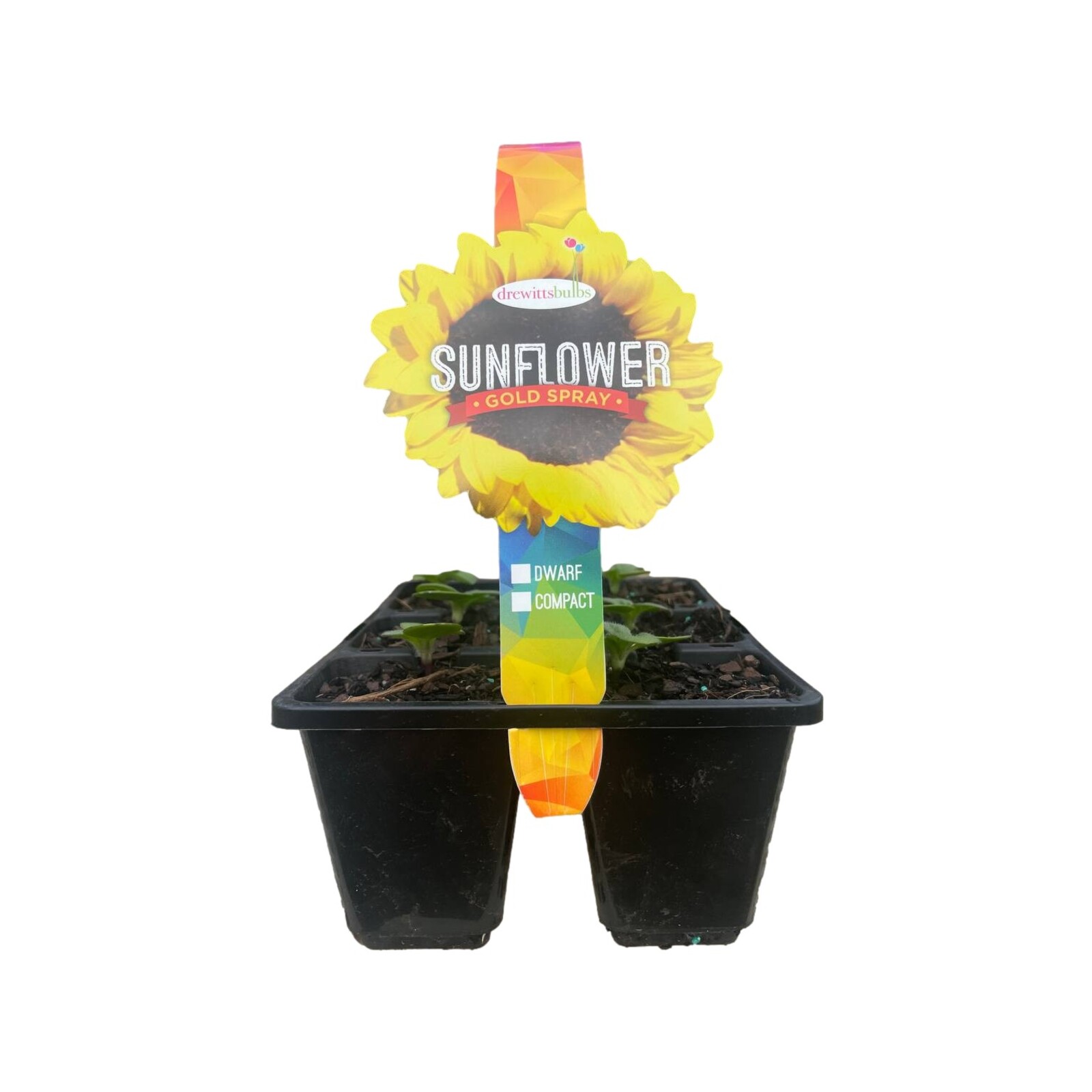 40-Pack Assorted Flat Back Resin Sunflowers Embellishments 1...