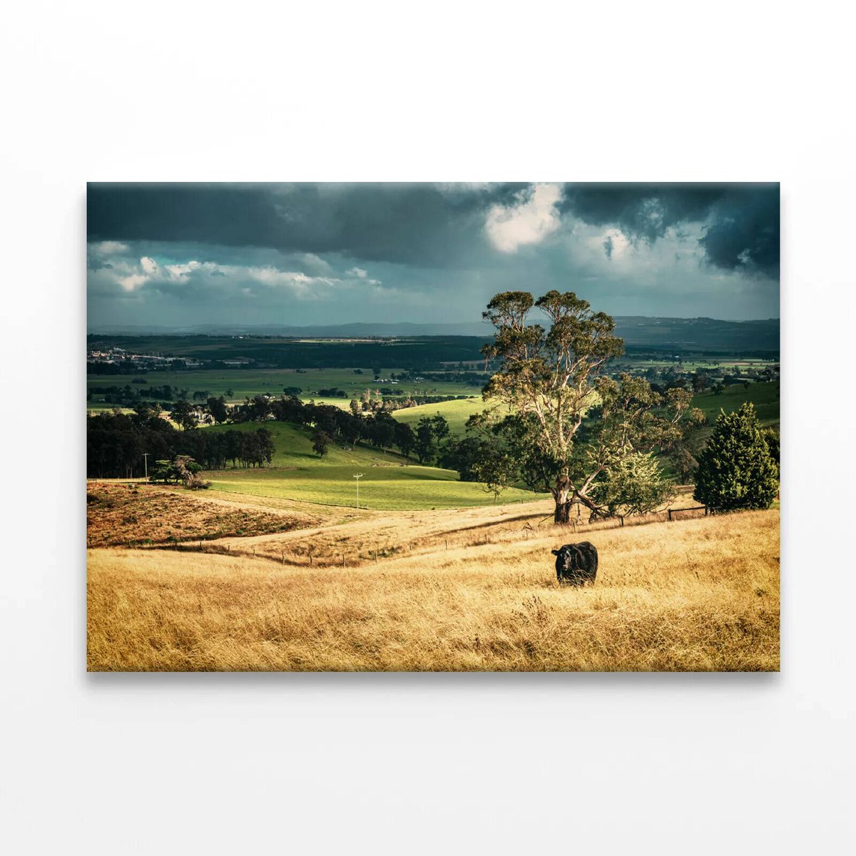Grassland with Trees, Mountains Print 100 Australian Made 90 x 60cm
