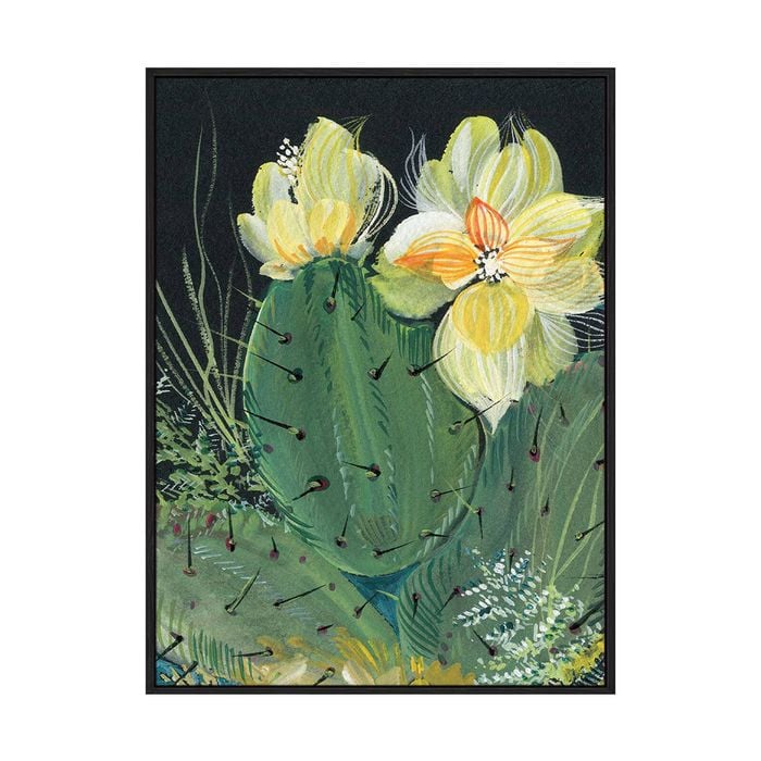 Artey | Cactus II - Framed Canvas - Black Frame - 60 x 80cm