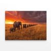 Elephants Moving Across an Field  Print 100% Australian Made 75 x 50cm  (Stretched)
