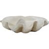 LVD Clam Shell Resin Decorative Bowl Home/Lounge Decor Small