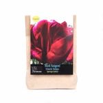Yarra Valley Bulbs Tulip Red Saigon - 5 Pack