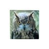 Wild Owl Square Cushion Cover