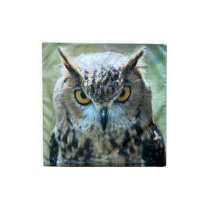 Wild Owl Square Cushion Cover