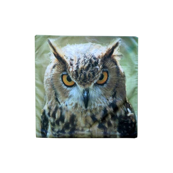 Wild Owl Square Cushion Cover