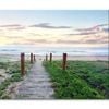 Sunrise and Narrow Path & Beach  Print 100% Australian Made 150 x 100cm  (Stretched)