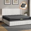 Oikiture Bed Frame King Gas Lift Storage Mattress Set BILY