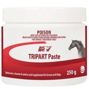 Ceva Tripart Paste Horse Muscle Function Recovery Horse 250g