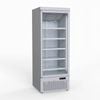 Thermaster Single Door Supermarket Fridge Lg-600gbm