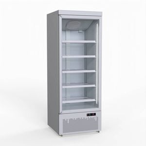 Thermaster Single Door Supermarket Fridge Lg-600gbm