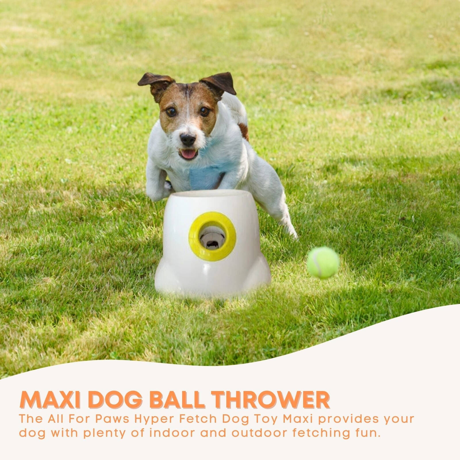 Amazon Tennis Ball Shooting Machine Amazon Dog Toy Ball Launcher