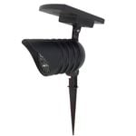 Solar Garden Lights
