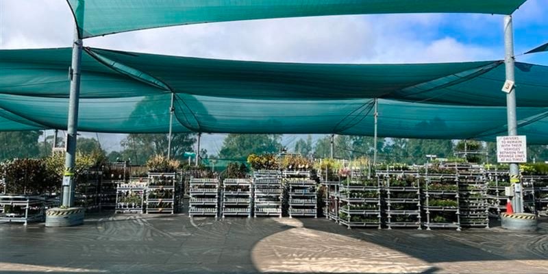 Nursery with assorted plants with green outdoor side used for shade