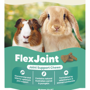 Vetafarm Origins Small Animal Health FlexJoint Joint Support Chews 60 Pack