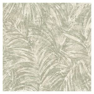 Pindo Sage wallpaper,  10.05m x 53cm. 99448