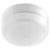 Arlec 12W Clipper Ceiling Fan Light