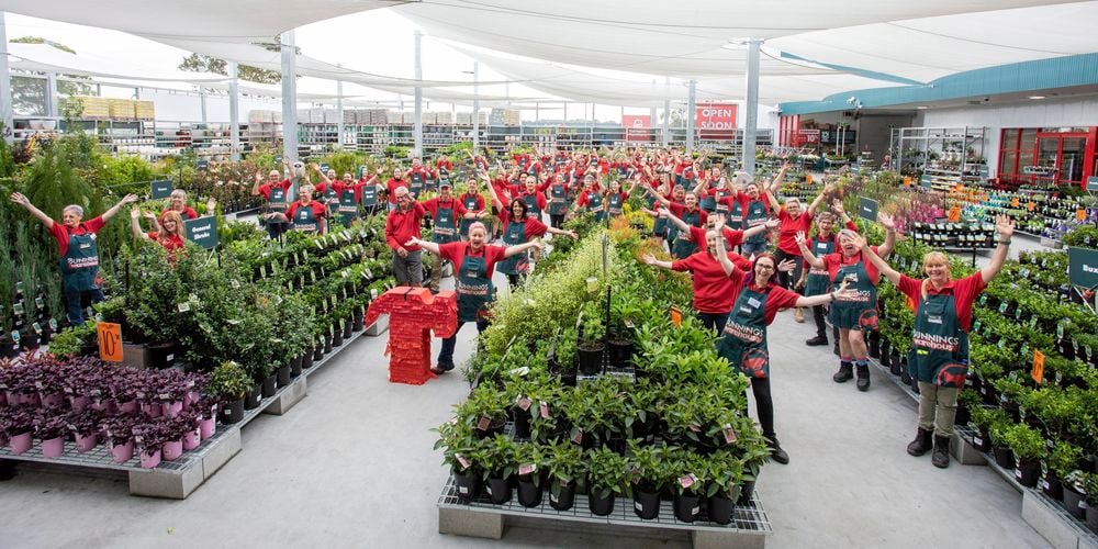 Bunnings TM's in the outdoor nursery at a store