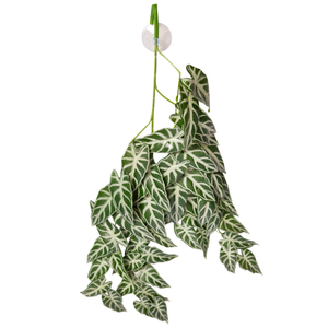 Reptile One Hanging Plant Alocasia Green W/ Suction Cup 70cm (46710)