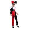 Harley Quinn Classic Jumpsuit Halloween Costume DC Comics Official Licensed - Red Black Colour, Large