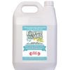 Enzyme Wizard Surface Sanitiser & Protectant   - 5l