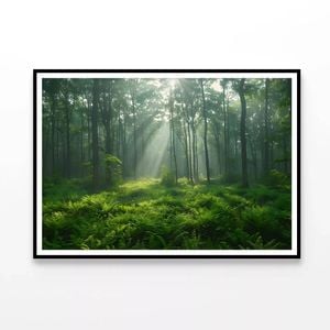 Misty Morning in the Forest  Print 100% Australian Made 90x60cm  (Poster)