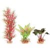 Kazoo Silk Fern Multipack (19566)