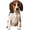 Rubies Bunny Ears Pet Accessory Dog/Cat - Size M-L