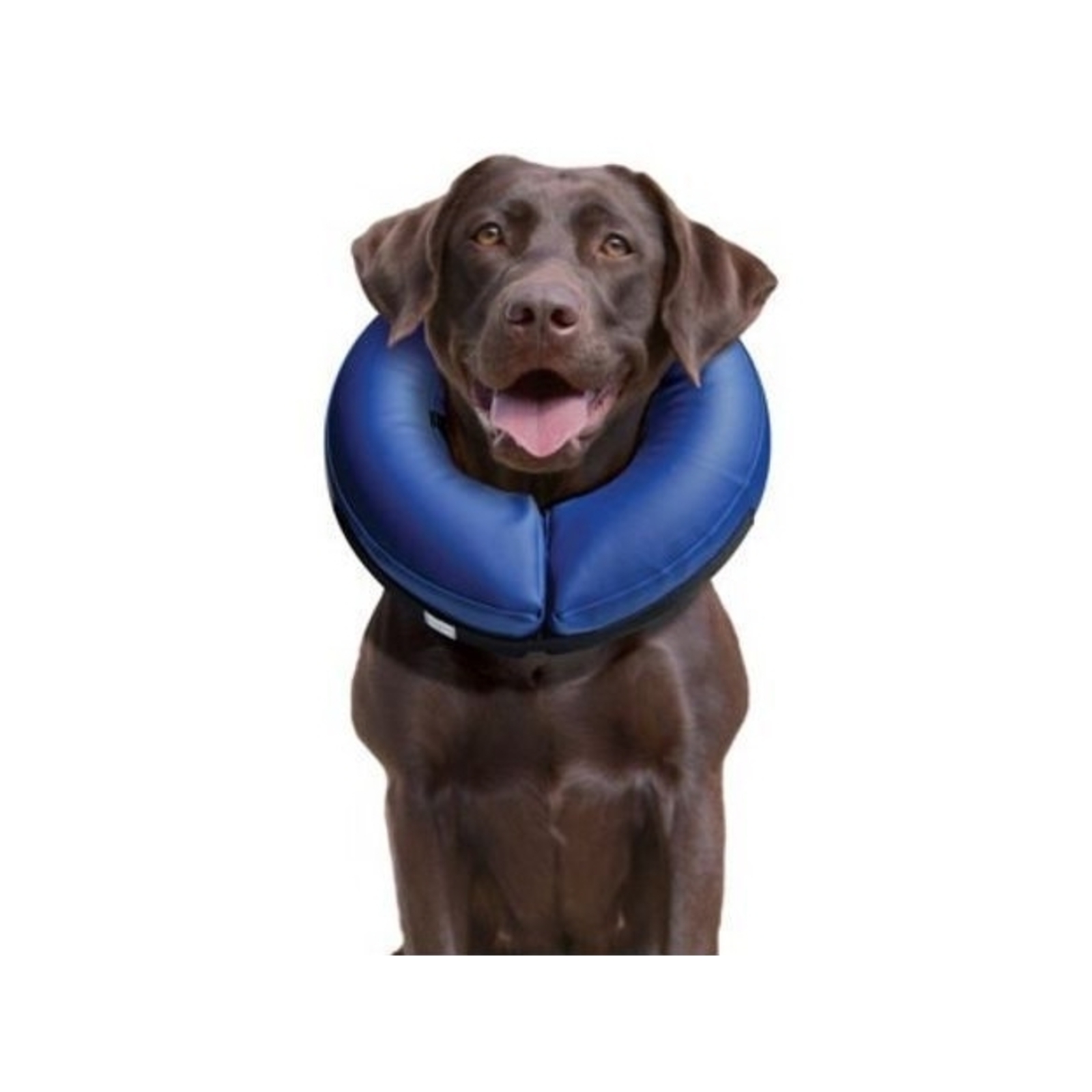 Buster Inflatable Medical Post Surgery Protective Nylon Dog Collar XX Large Bunnings Australia