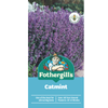 Fothergill's Catmint Seeds