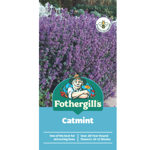 Fothergill's Catmint Seeds