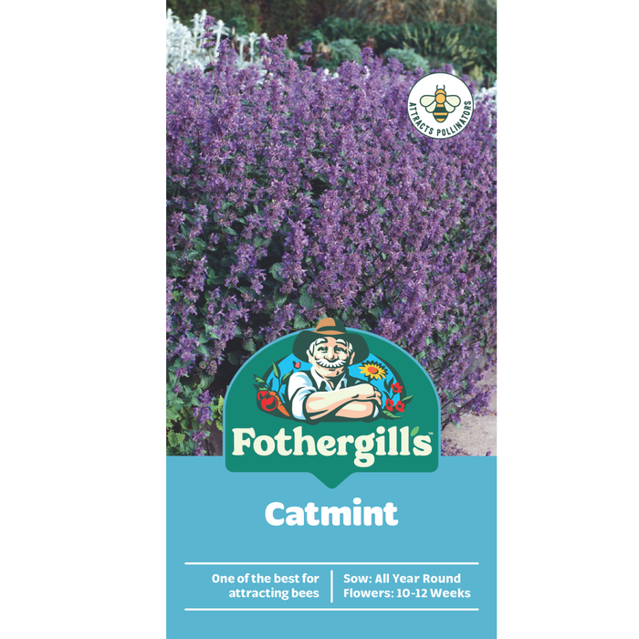 Fothergill's Catmint Seeds
