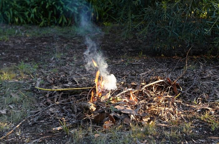 A small fire burning in dry leaves and twigs in bushland