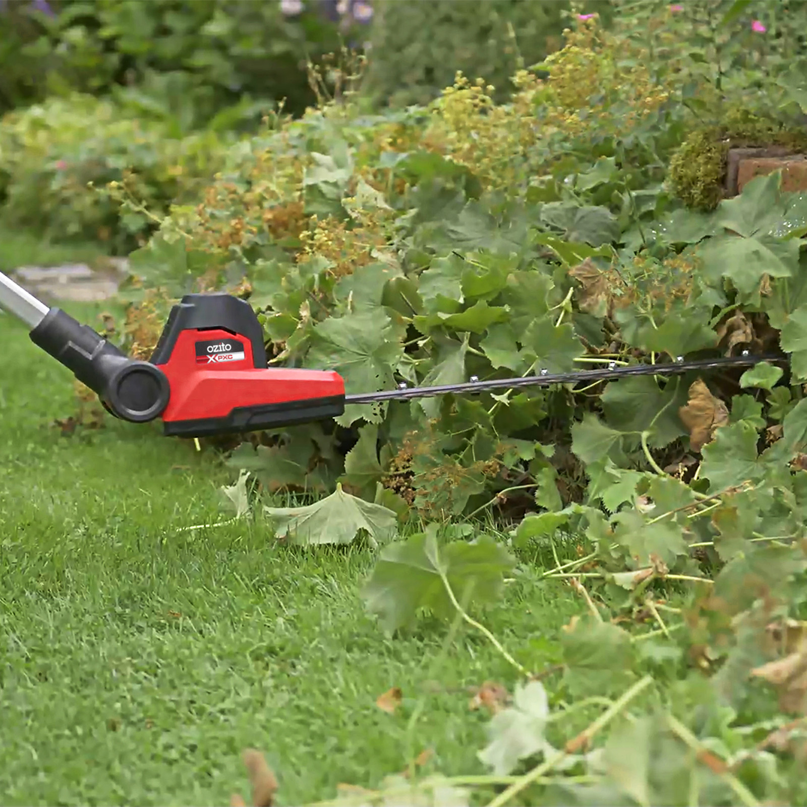 Ozito power x change 18v pole hedge trimmer hotsell