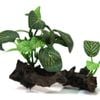 Aqua One Hermit Crab Plant On Wood Ornament 10.6x7.8x8cm (36328)
