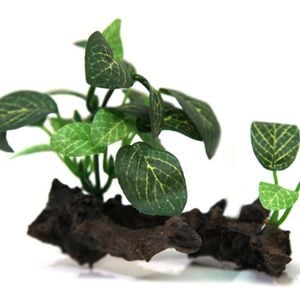 Aqua One Hermit Crab Plant On Wood Ornament 10.6x7.8x8cm (36328)