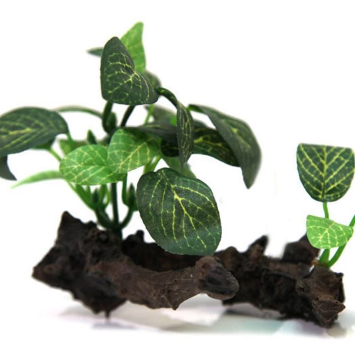 Aqua One Hermit Crab Plant On Wood Ornament 10.6x7.8x8cm (36328)