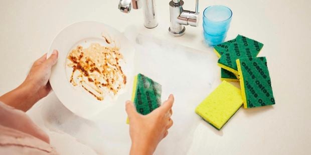Oates - Antibacterial Heavy Duty Sponge.jpg