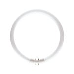 Philips 4200lm TL5 55W Cool White Circular Fluro 