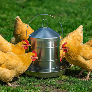 Bainbridge Stainless Steel Poultry Drinker - 9L Chicken Waterer with Carry Handle