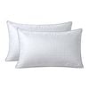 Accessorize Bedroom Collection Deluxe Hotel 2 Pack Firm  Pillow