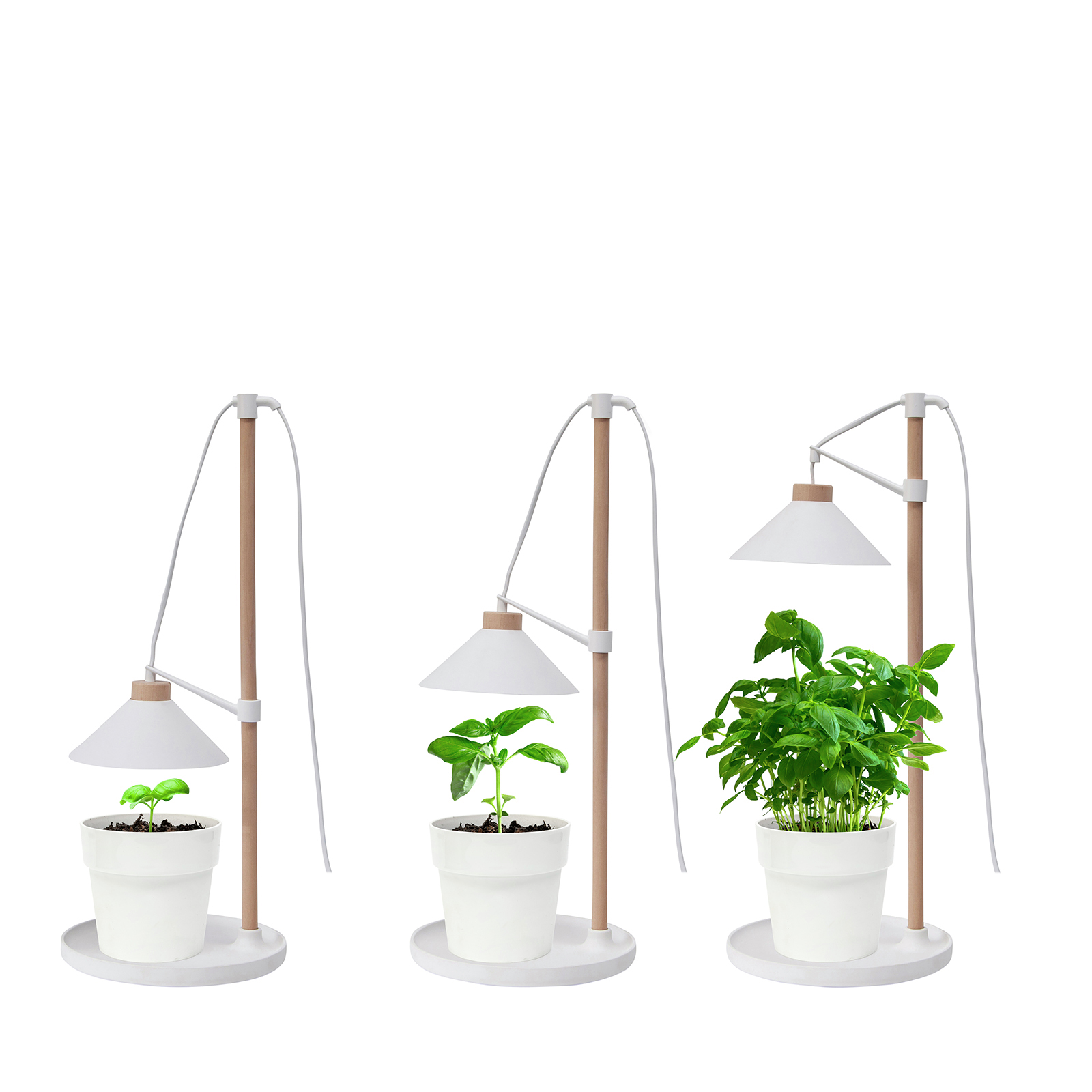 Indoor grow light bunnings sales